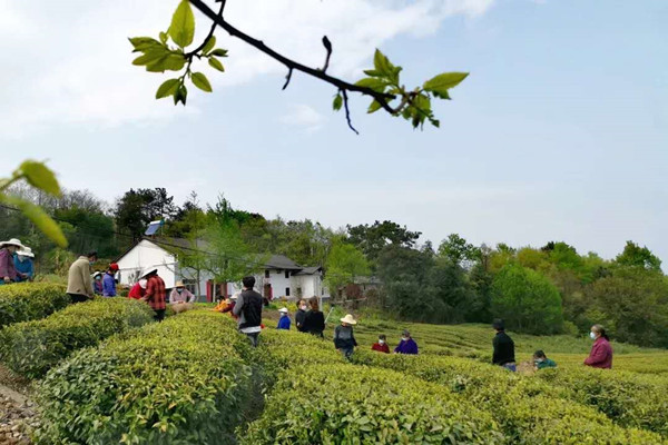 现场农技培训.jpg