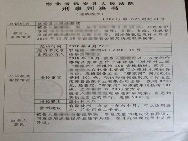 表格式裁判文书.jpg